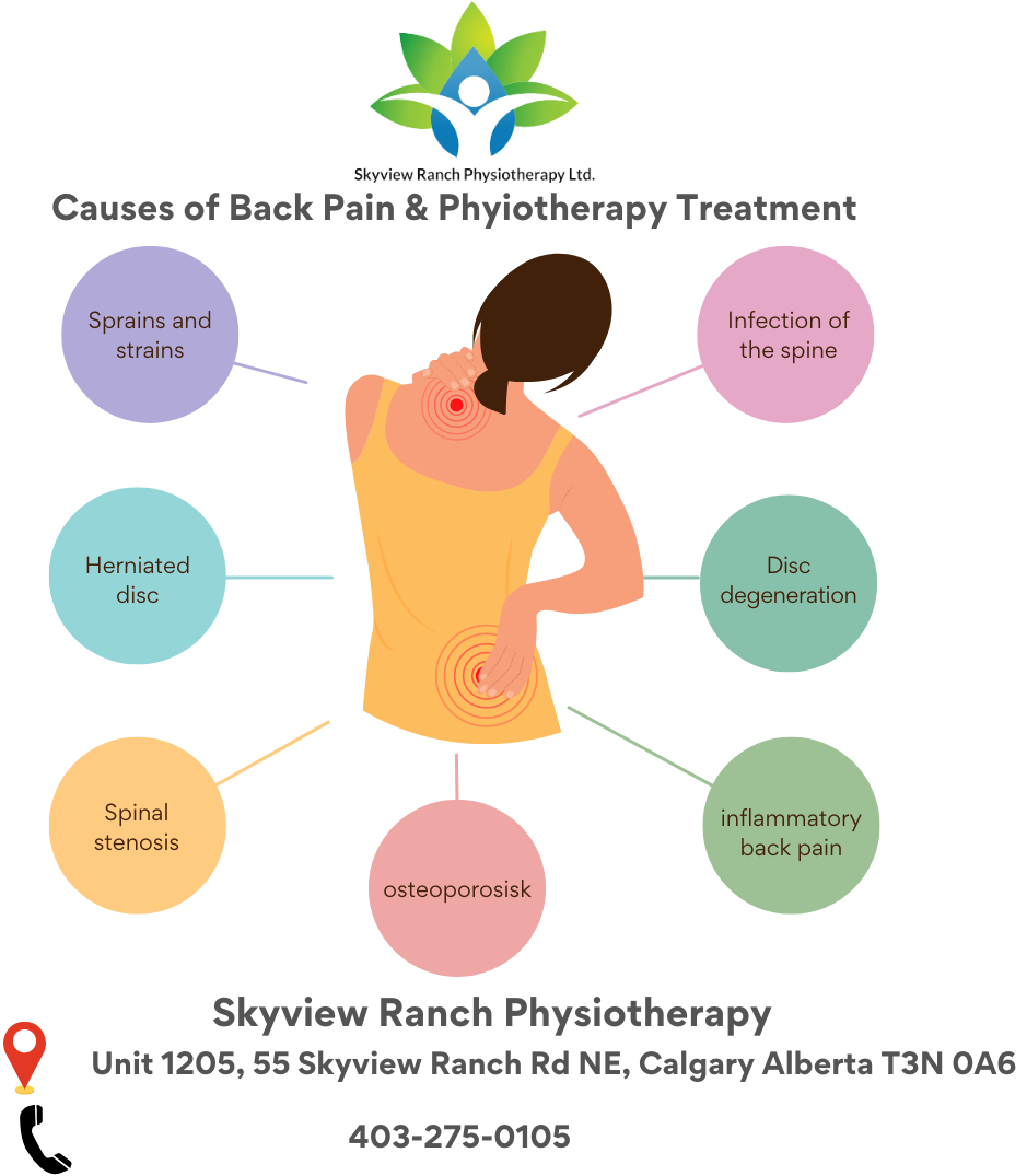 Physiotherapy for back pain causes