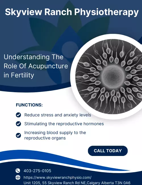 Understanding The Role Of Acupuncture in Fertility