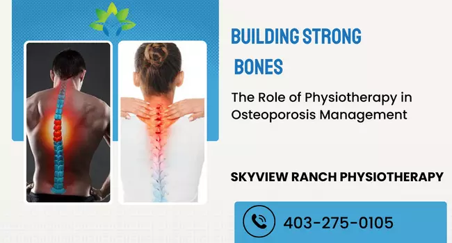 Building Strong Bones The Role of Physiotherapy in Osteoporosis Management