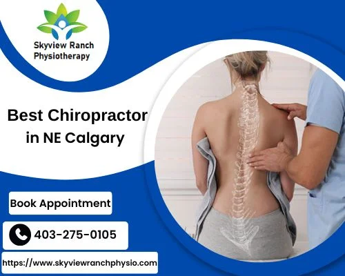 Top chiropractor in NE Calgary